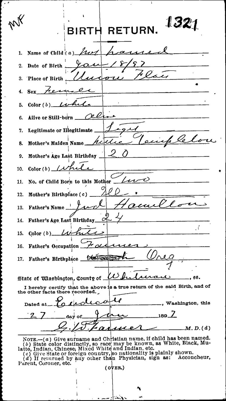 First page of Supplina Ward Hamilton - Birth Return - A girl?