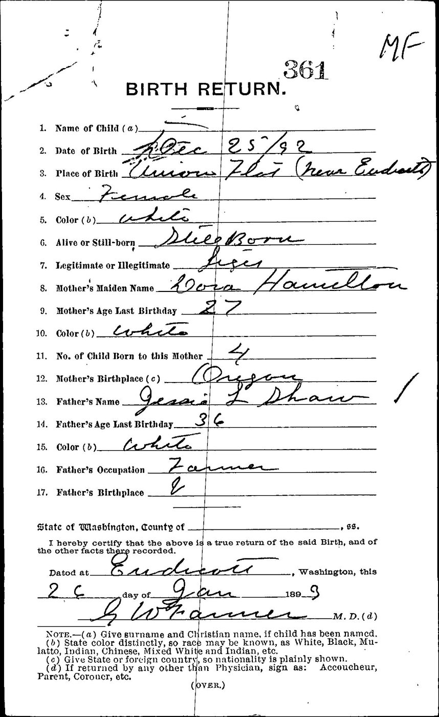 First page of A Very Sad Christmas Day Birth - Dec. 25, 1892, Union Flat Creek, Whitman County, WA